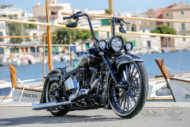 Harley-Davidson Softail Deluxe Chicano Style