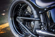 Harley-Davidson Softail Slim S Schwinge