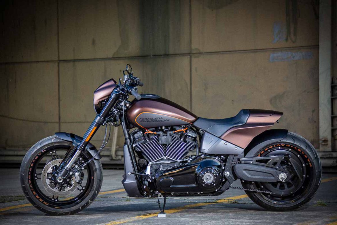 Harley-Davidson_FXDR_Custom-020 | Rick`s Motorcycles - Harley Davidson ...