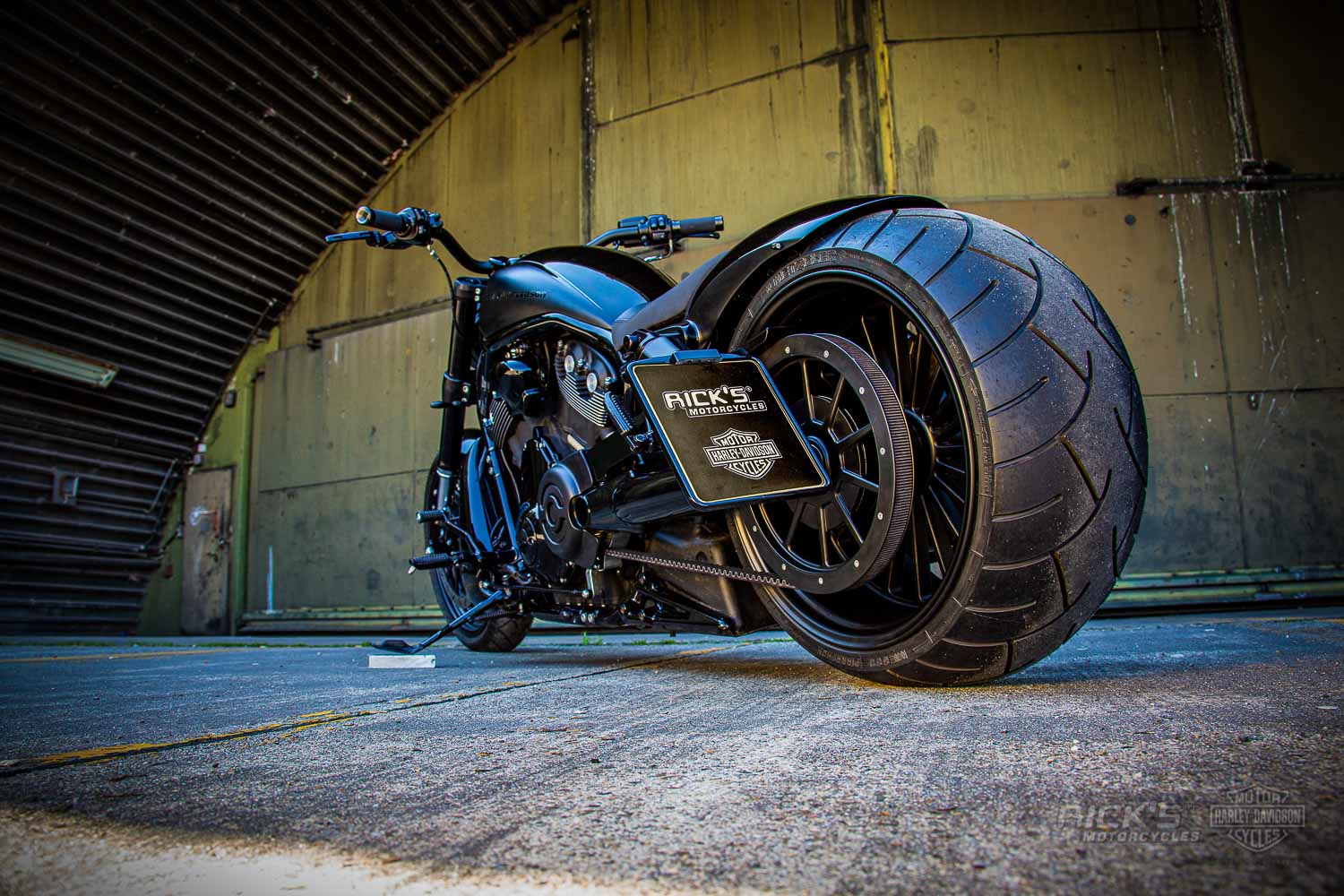 Harley davidson night 2024 rod custom