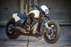 Harley Davidson FXDR Custom Ricks 038