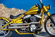 Harley Davidson Softail Slim Bobber 007
