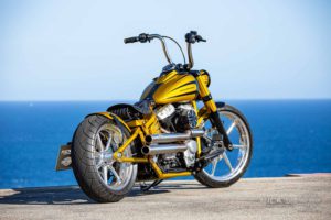 Harley Davidson Softail Slim Bobber 035 Kopie