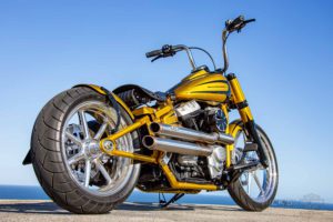Harley Davidson Softail Slim Bobber 039 Kopie