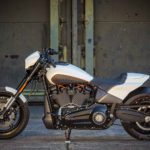 Harley Davidson FXDR Custom Ricks 142