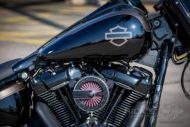Harley Davidson Fat Boy 260 Custom Ricks 009