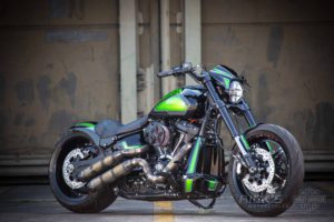 Harley Davidson FXDR Custom Ricks 001