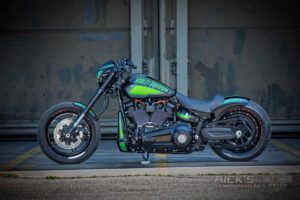 Harley Davidson FXDR Custom Ricks 054