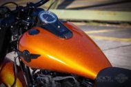 Harley Davidson Fat Boy 300 Custom Ricks 033