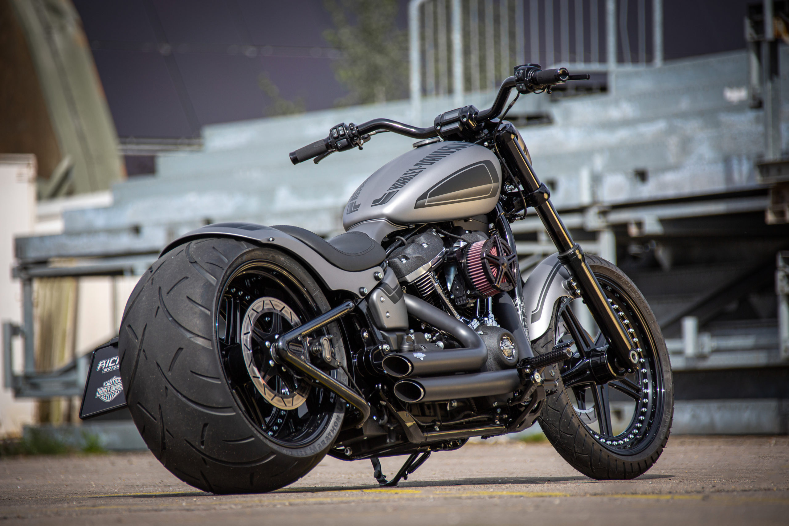 M8 Street Bob - Street Bob 300 - Rick`s Motorcycles - Harley Davidson ...