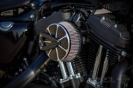 Harley Davidson Sportster Iron Ricks 003