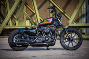 Harley Davidson Sportster Iron Ricks 019