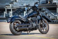 Harley Davidson Lowrider S Milwaukee Eight Sons of Anachie Ricks 015