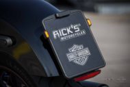 Harley Davidson Lowrider S Milwaukee Eight Sons of Anachie Ricks 024