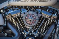 Harley Davidson fat Boy Ricks 014