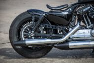 Harley Davidson Sportster Bobber Ricks 015