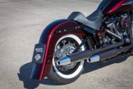 Harley Davidson Softail heritage Chicano Coustom 027