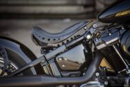 Harley Davidson Softail Standard Custom Ricks 098