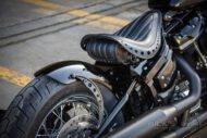 Harley Davidson Softail Standard Custom Ricks 101