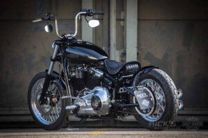 Harley Davidson Softail Standard Custom Ricks 132
