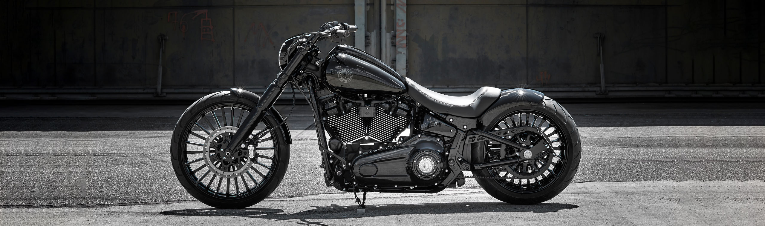 Blackout | Rick`s Motorcycles » Harley Davidson - Baden Baden