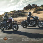 18 2018 FLSB SportGlide Brochure REAR