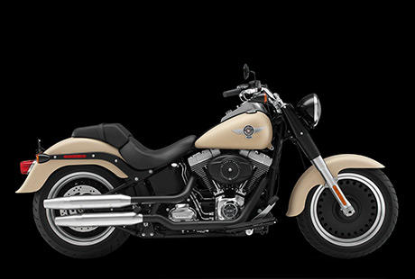 Softail Fat Boy Special