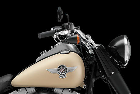 Softail Fat Boy Special